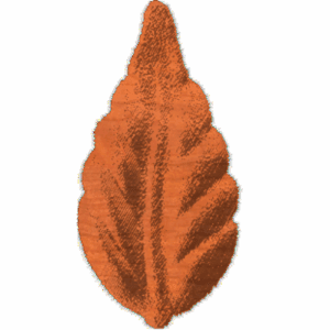Leaf2 - CL